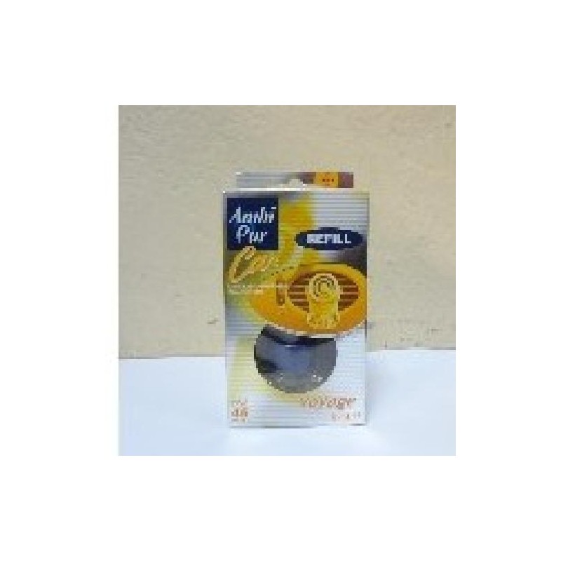 AMBIPUR CAR RECARGA VOYAGE (6)