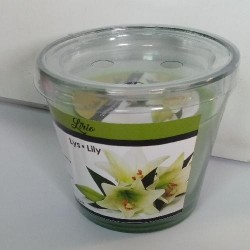 AR VELA COPO LILAS (12)