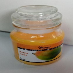 AR VELA TAMPA VIDRO MANGA (12)