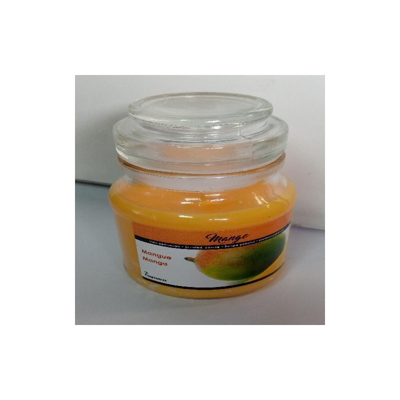 AR VELA TAMPA VIDRO MANGA (12)