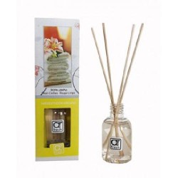 AR MIKADO 50ML ROUPA LIMPA (12)